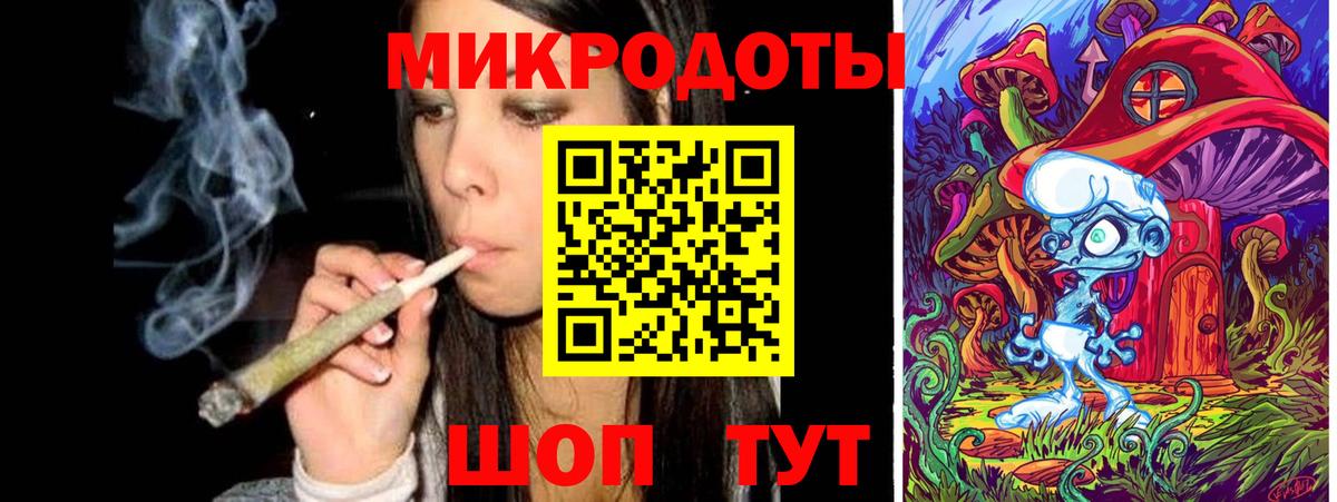 Галлюциногенные грибы Psilocybe Иваново